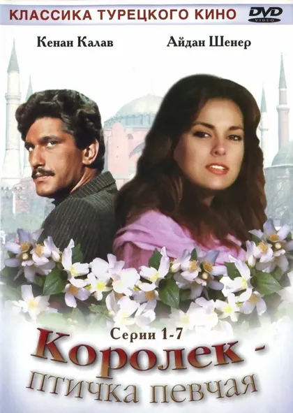 Тильбе Саран