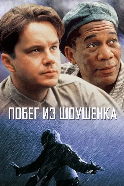 Дональд Зинн